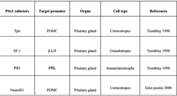 Table 1.1: Table shows the various co factors with which Pitx1 acts synergistically to regulate 