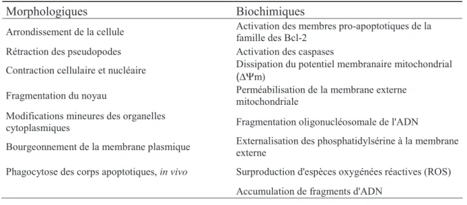 Tableau 1 : Modifications associées à l’apoptose. 