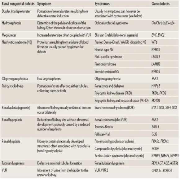 Table 3-2. Congenital abnormalities and gene defects identified in patients (242) 