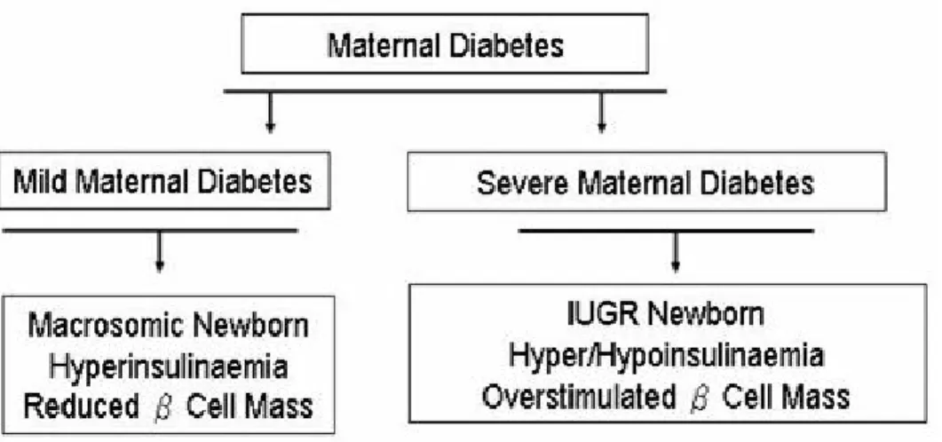 Figure 4-1. Two opposite, abnormal fetal growth situations associated with maternal  diabetes 