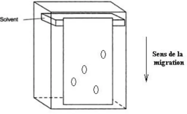 Figure 11 : Dispositif de chromatographie descendante sur couche mince  