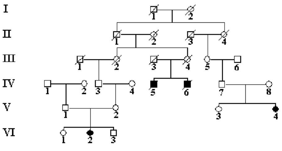 Figure 2. Recrutement de la famille atteinte de la NHSRPA. Les carrés représentent les  hommes
