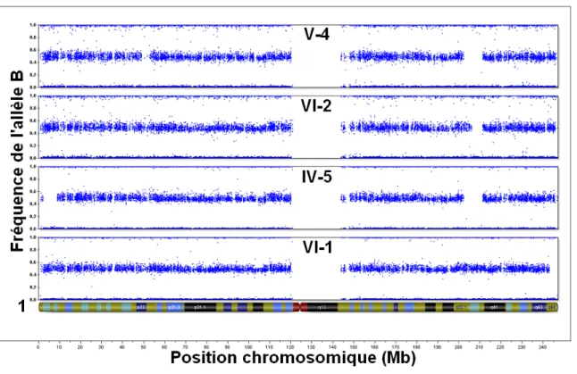Figure 7.  Fréquence de l’allèle B en fonction de la position chromosomique. Un  crible génomique chez les cas IV-5, V-4, et VI-2 et le membre VI-1 de la famille  canadienne-française a été complété au Centre d’innovation Génome Québec de  l’Université McG