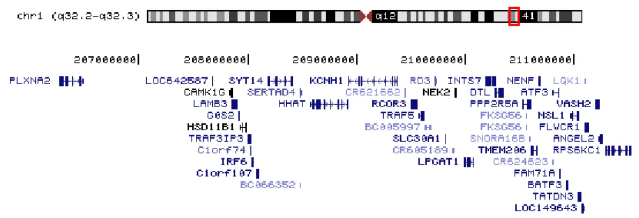 Figure 8. Gènes se trouvant dans le premier intervalle candidat. 