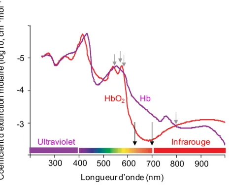Figure 14. Spectre d’absorption de l’hémoglobine 
