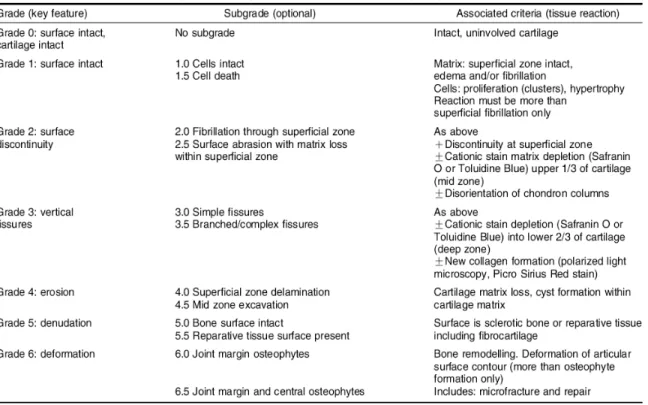 Tableau I : Description détaillée des grades de la maladie selon l’OARSI (Pritzker KP et  al., Osteoarthritis and Cartilage, 2006)  