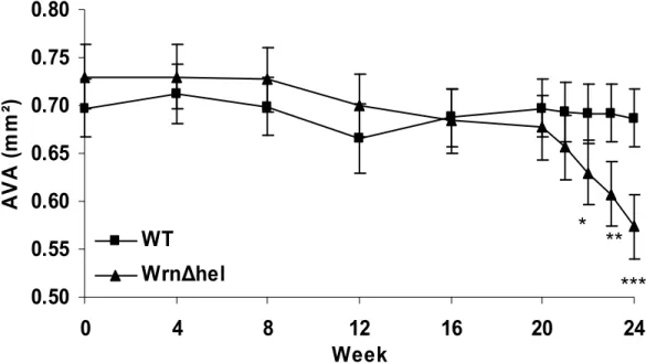 Figure 4. Aortic valve area (AVA) values obtained by echocardiography during the  high-fat/high carbohydrate diet period