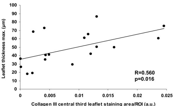 Figure 9. Correlation between the average of central third aortic valve leaflet type III  collagen staining area/ROI and aortic valve leaflet maximal thickness from pooled  groups (n=18)