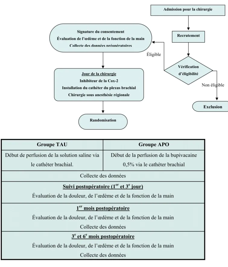 Figure 1 : Processus de recrutement et suivi postopératoire