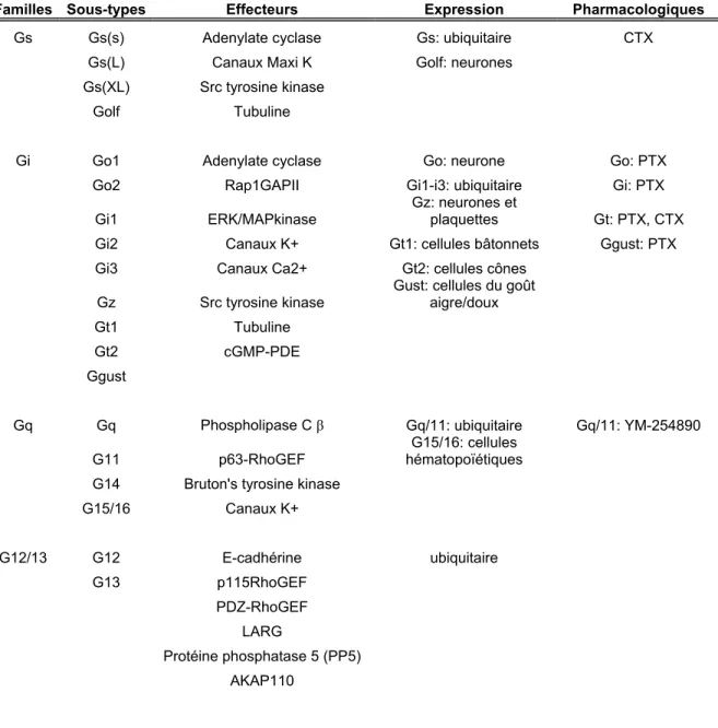 Tableau III: Classification des sous-unités α de la protéine G 