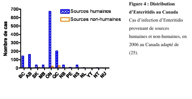 Figure 4 : Distribution  d’Enteritidis au Canada  Cas d’infection d’Enteritidis  provenant de sources 