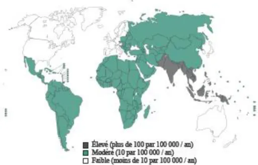 Figure 6 : Distribution mondiale de la fièvre typhoïde adapté de (20) 