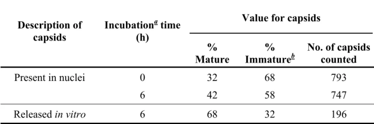 TABLE 2. Preferential release of mature wild-type capsids by nuclei in vitro 