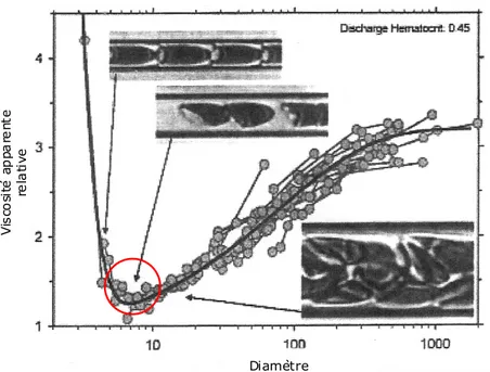 Figure 7: Viscosité apparente selon le diamètre vasculaire. Adapté de (58). 