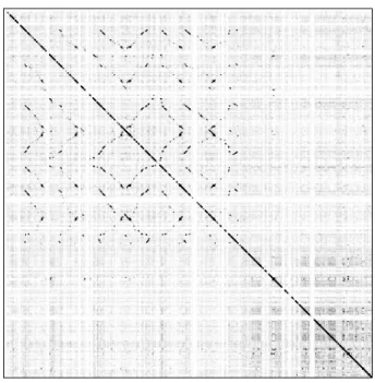 Figure 1.5: Représentation en dotplot des similarités locales dans la séquence du cluster ZNF141