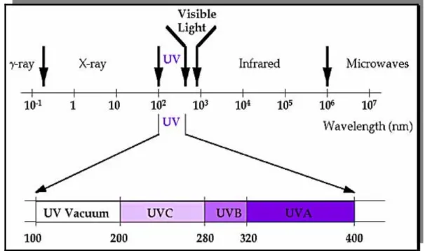 Figure 1.1: Le spectre électromagnétique solaire.  