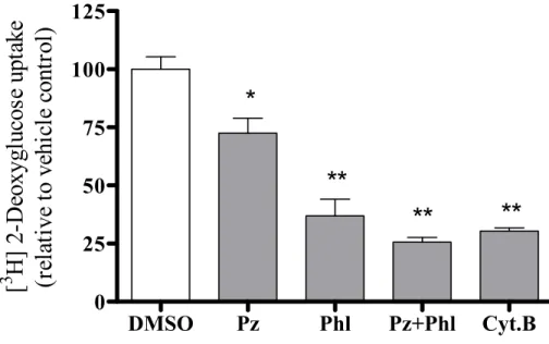 Figure 1: DMSO Pz Phl Pz+Phl Cyt.B0255075100125*******[3H] 2-Deoxyglucose uptake(relative to vehicle control)