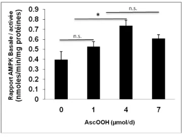 Figure  8  :  Rapport  de  l'activité  de  l'AMPK  basale  sur  l'AMPK  activée  en  fonction  de  l'AscOOH perfusé (* : p&lt;0.05)