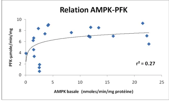 Figure 9 : Relation entre l'activité de l'AMPK basale et l'activité de la PFK hépatique