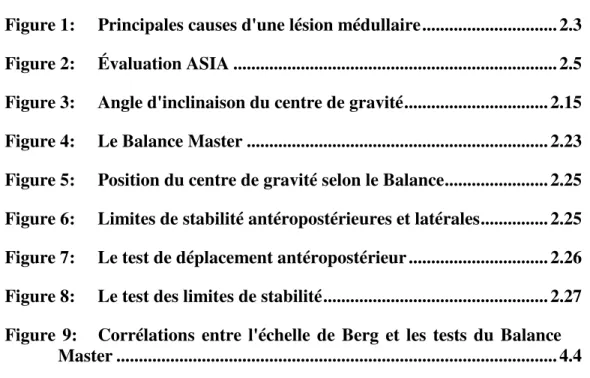 Figure 1:     Principales causes d'une lésion médullaire.............................