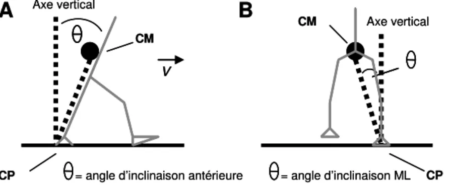 Figure 3:   Angle d'inclinaison du centre de gravité   vs centre de pression 