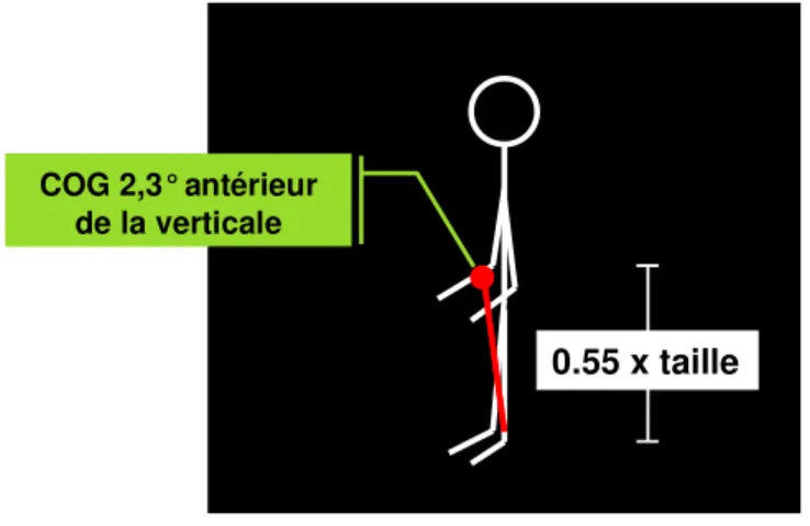 Figure 5:     Position du centre de gravité selon le Balance        Master 