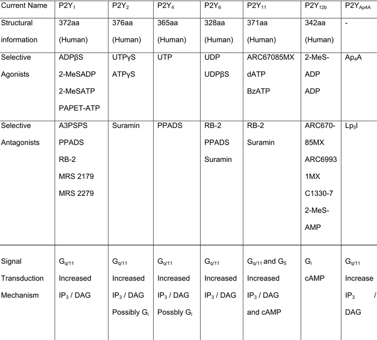 Table 1: P2Y Subtypes (G protein family), Sigma-Aldrich Canada Ltd.,  Oakville, Ontario, Canada