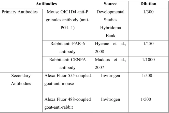 Table I: List of the markers and antibodies used for embryo staining.  