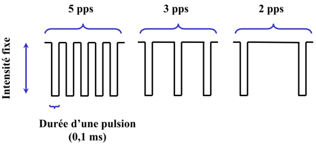 Figure 4. Schéma représentant trois salves de stimulation comprenant un nombre  différent de pulsions électriques