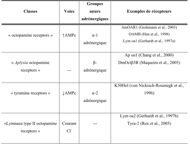 Tableau I : Classification des OAR selon Roeder. Ce tableau est un résumé de la 