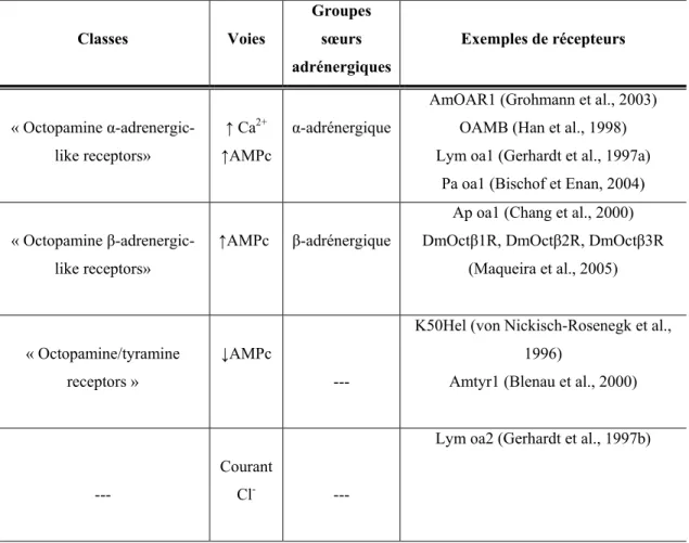 Tableau II : Classification des OAR selon Evans et Maqueira. Ce tableau est un 