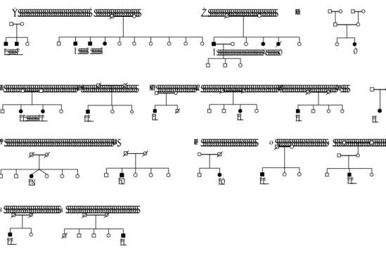 Fig. 1 Pedigrees of 17 French–Canadian ARSAL families. No consanguineous 