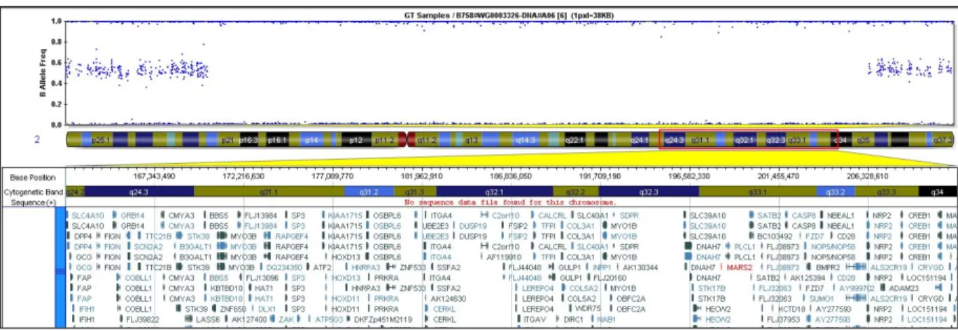 Figure 2 : Visualisation graphique de l’analyse du logiciel BEADSTUDIO de la 