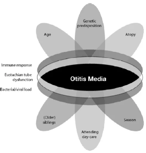 Figure 4 : Facteurs de risque de l’OMA.[65] 