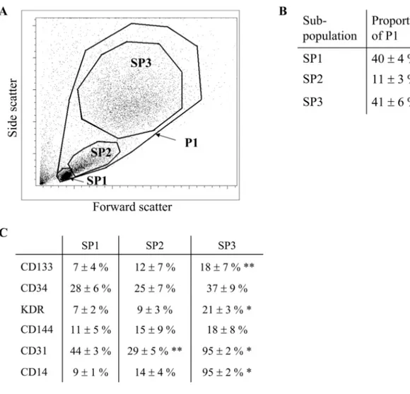 Figure 4: Characteristics of EPCs subpopulations. (A) Definition of the three main  subpopulations by flow cytometry analysis based on light scatter profile