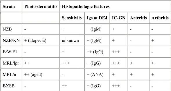 Table 1. Characteristics of lupus-prone mouse strains (source: ref.159)  Igs at DEJ: immunoglobulins deposits at the dermoepidermal junction;   