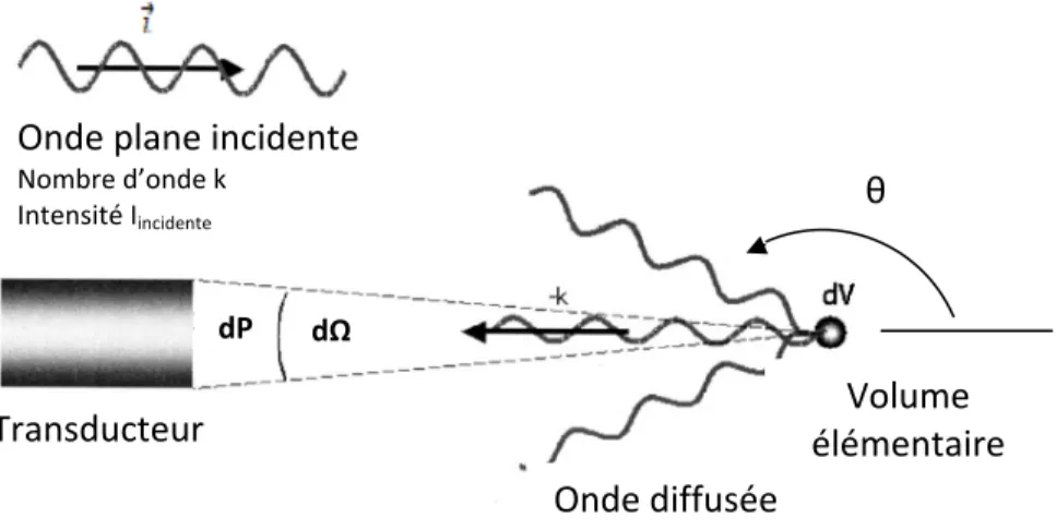 Figure 2-2 : Propagation et diffusion d’une onde de compression ultrasonore. Adapté de  [147]