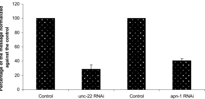 Figure 6. Percentage of the remaining unc-22 and apn-1 message following gene  specific RNAi