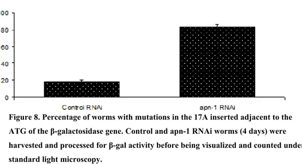 Figure 8. Percentage of worms with mutations in the 17A inserted adjacent to the  ATG of the β-galactosidase gene