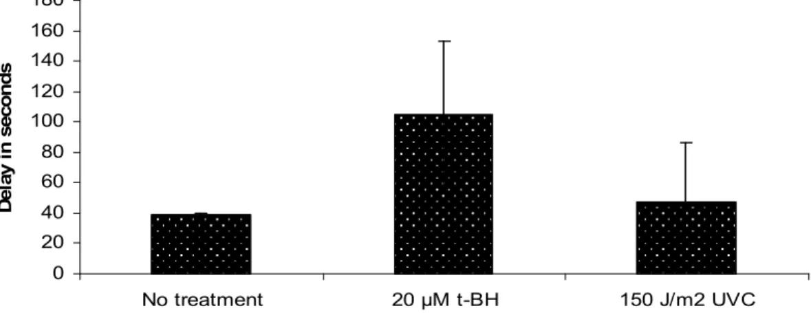 Figure 13. Cell cycle delay of embryonic P1 cell following apn-1 knockdown. Worms  were dissected to extract the embryos which were monitored throughout the first 3  cell divisions using time-laps microscopy