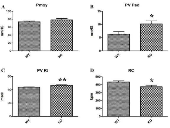 Figure 10. Paramètres de la fonction vasculaire ventriculaire mesurés par  Millar. (A) Pressions artérielle moyenne (Pmoy) et (B) ventriculaire  télé-diastolique (PV Ped) exprimées en millimètre de mercure (mm Hg), (C) temps  de relaxation ventriculaire (P