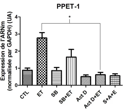 Figure 12.  L’induction de l’expression de PPET-1 est bloquée par  l’actinomycine D. Quantification de l’ARNm de la PPET-1 suite aux divers  traitements