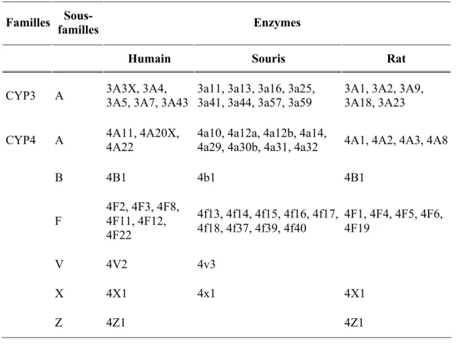 Tableau  II    Quatre  familles  d’enzymes  du  CYP450  majeures  impliquées  dans  le 