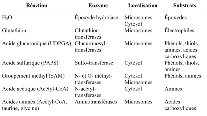 Tableau III  Principales réactions de phase II 50 . UDPGA, acide UDP-glucuronique; PAPS,  phosphoadénosine phosphosulfate; SAM, S-adénosyl méthionine; CoA, coenzyme A