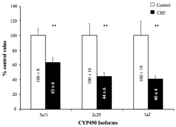 Figure 2: mRNA encoding hepatic cytochrome P450 isoforms in control and CRF mice. 