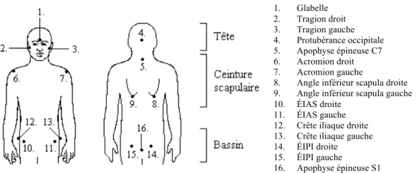 Figure  3.2 :  Repères  anatomiques  utilisés  pour  les  mesures  de  posture  (Nault  et  al.,  2002)