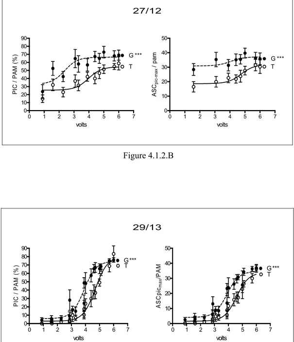 Figure 4.1.2 A, B et C. Fonction érectile chez le rat adulte après 6, 12 et 13 semaines de diète  riche en glucose