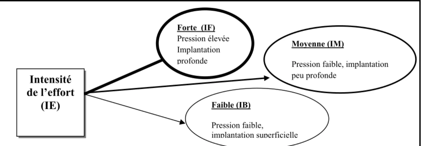 Figure 8 - Mesure de l’intensité de l’effort de structuration (IE) 