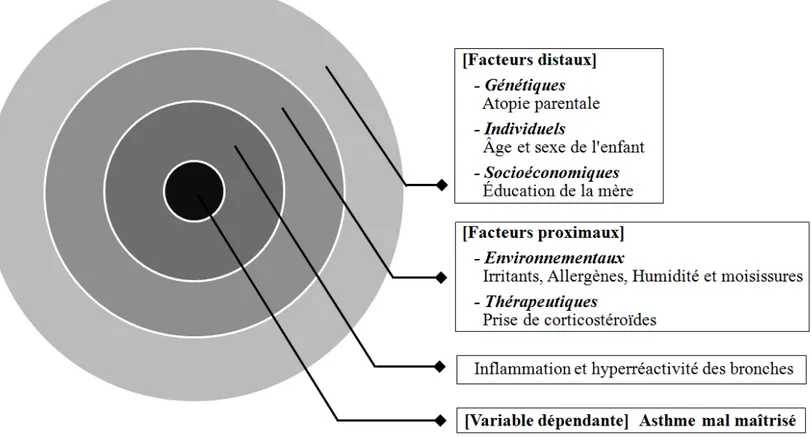 Figure 2. Schéma conceptuel de l’étude. 