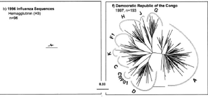 Figure 9 : Comparaison de l’évolution virale du virus de l’influenza et du VIH durant une 